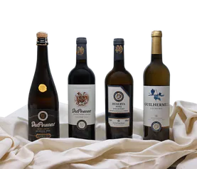 Pack Experiência